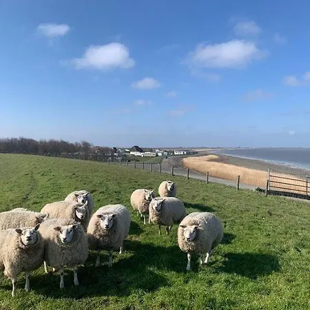 Chalet 6 Pers. 20 Meter Direkt Am Wattenmeer Aan Het Water Nr.86 Westerland