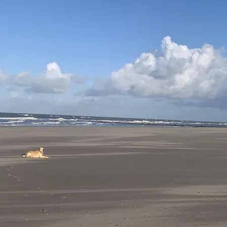 Chalet 6 Pers. 20 Meter Direkt Am Wattenmeer Aan Het Water Nr.86